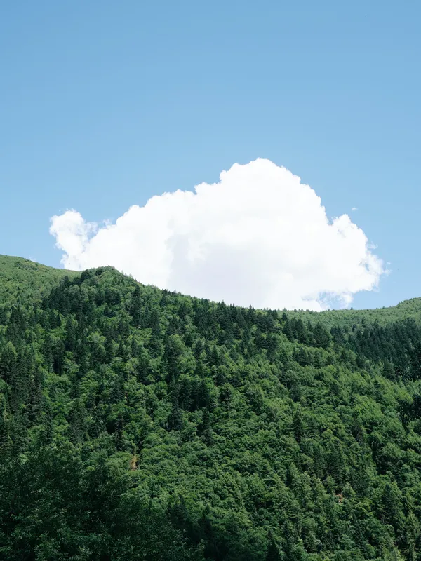 巴郎山垭口